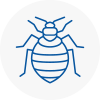 Bed Bug Extermination In Dukinfield